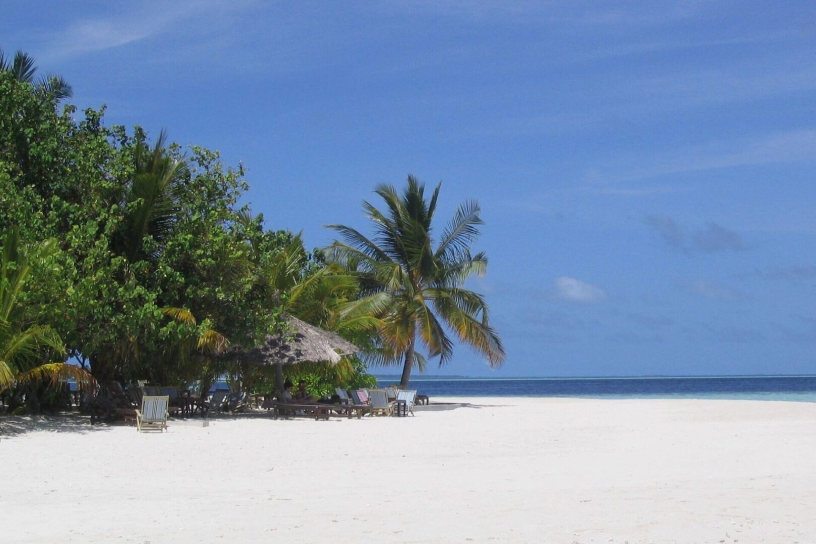 A beach with palm trees and white sand